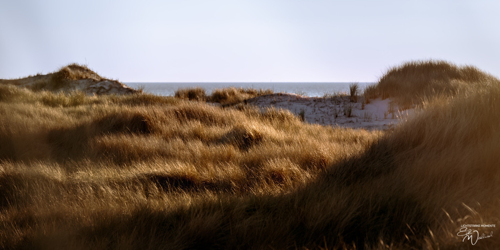 20240508-194503 NORDSEE SPO _316-1 | Herzlich willkommen auf meiner Seite! Ich bin Elke Wallnisch, Deine Fotografin für lichtstarke Momente. Der Name steht für alles, was mich mit der Fotografie verbindet: Das Licht und seine machtvolle Wirkung auf eine Situation oder unsere Stimmung - Realisiert mit Pictrs.com