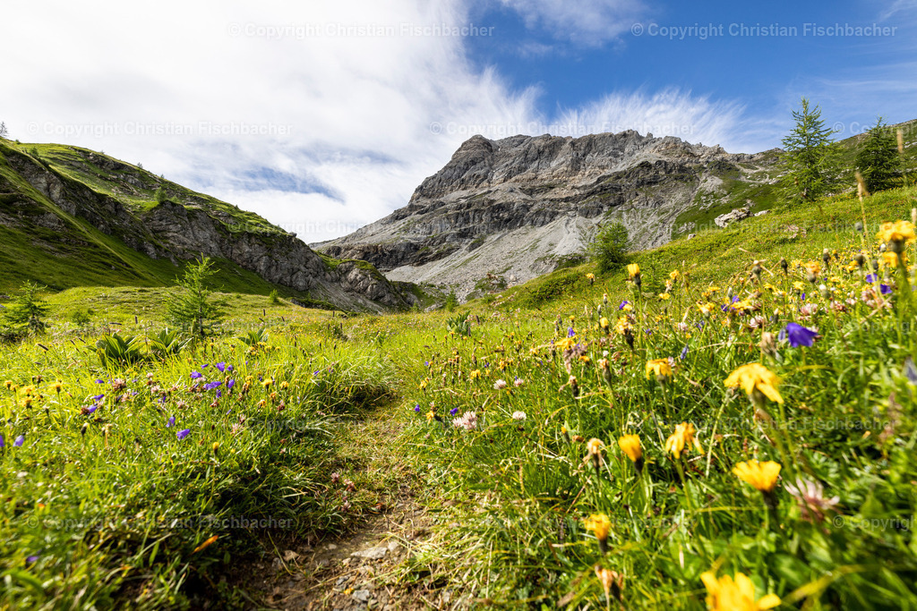 Fotos_Copyright_Chri_Fischbacher_Druck-457 | Bildershop Chri Fischbacher - Realisiert mit Pictrs.com