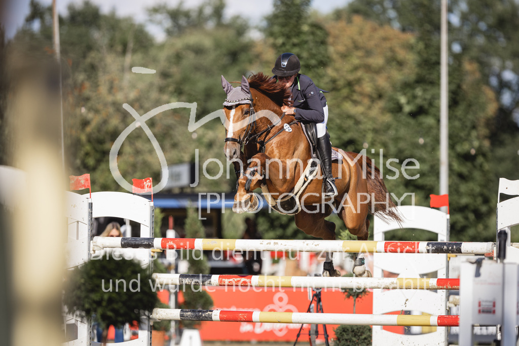 230826_Delbrueck_S1-Spr-915 | Deine schönsten Turniermomente als professionelle Fotos! Entdecke hochwertige Pferdesport-Fotografie im Online-Shop. Jetzt Fotos finden & bestellen!