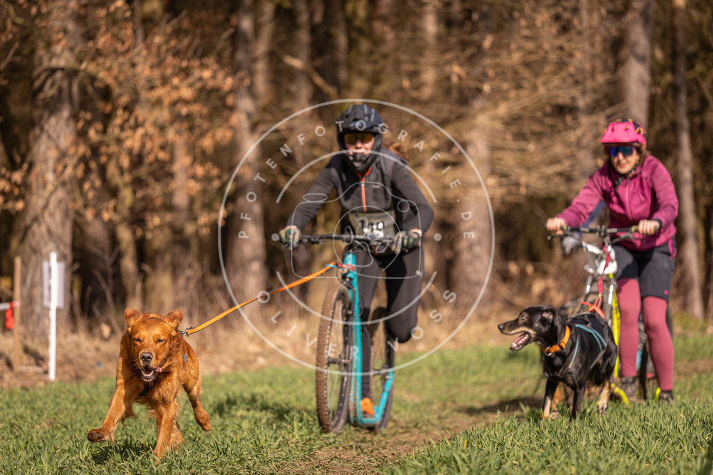 DV3A6123 | Hundefotografie, Tierfotograf, Pfotenfotografie, Fotoshooting Hund, Hunde Portrait, Hundesport, Hundeportraits, Heideshooting, Hunde, Sportfotograf, Hundefotograf, Turnierhundsport, THS,  - Realisiert mit Pictrs.com