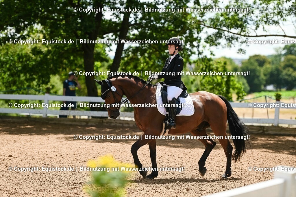 20230716_03_Dressurprfg. Kl.L - Tr._0081 | equistock