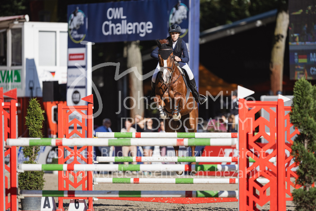 230908_OWLCh_AmateurL-318 | Deine schönsten Turniermomente als professionelle Fotos! Entdecke hochwertige Pferdesport-Fotografie im Online-Shop. Jetzt Fotos finden & bestellen!