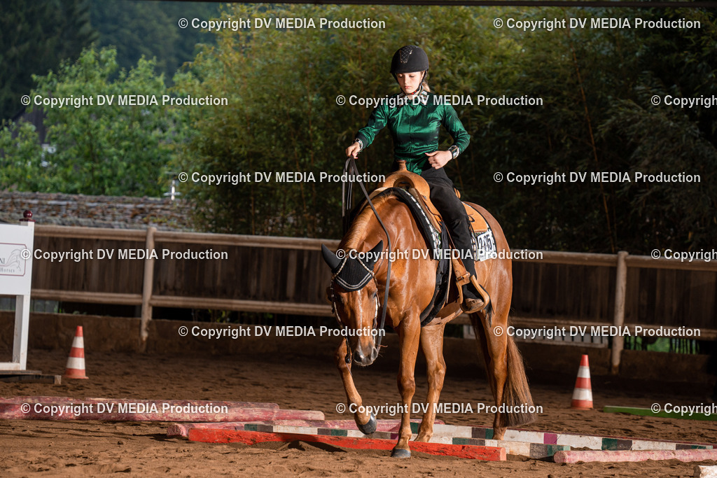 Erbach Tag 3-11 | dv-media-shop - Realisiert mit Pictrs.com