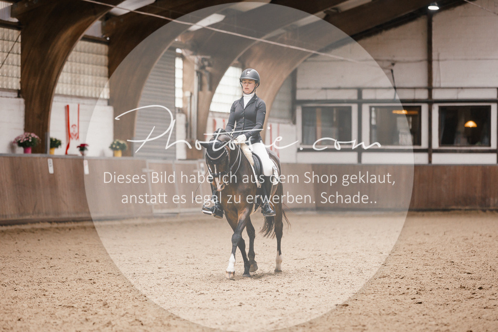 3I6A9008 | Stimmungsvolle Portraits und Reitsportfotografie im Ruhrgebiet und im Münsterland.

Pferdefotografie, Hundefotografie, Tierfotografie, Reportagen, Portraits von Tier und Mensch, Turnierfotografie in Bochum, Recklinghausen, Marl, Haltern am See, Dülmen.. - Realisiert mit Pictrs.com