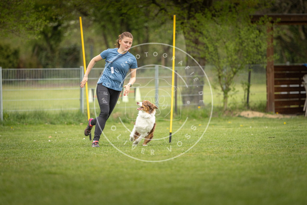 Pfotenfotografie_DV3A0211 | Hundefotografie, Tierfotograf, Pfotenfotografie, Fotoshooting Hund, Hunde Portrait, Hundesport, Hundeportraits, Heideshooting, Hunde, Sportfotograf, Hundefotograf, Turnierhundsport, THS,  - Realisiert mit Pictrs.com