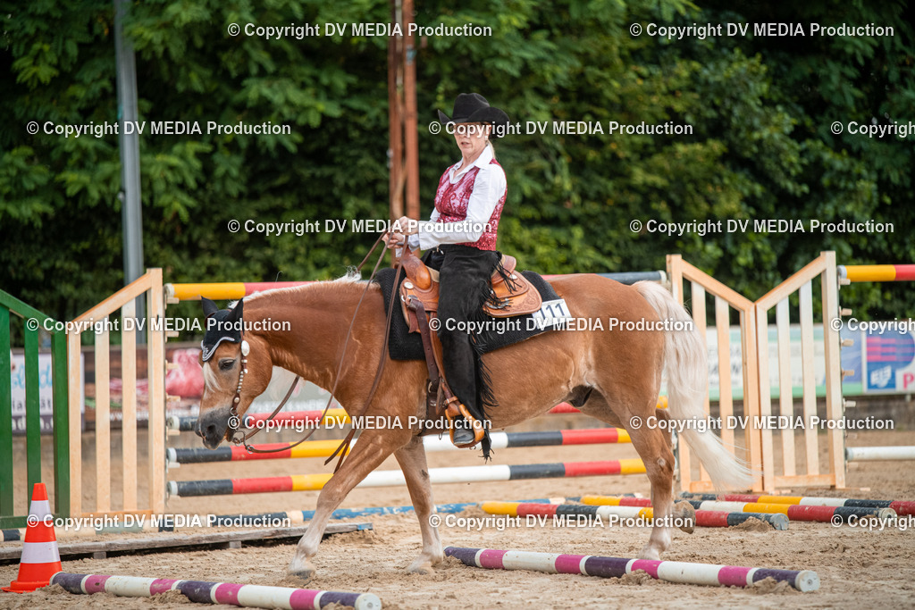 ZS2_7484 | dv-media-shop - Realisiert mit Pictrs.com