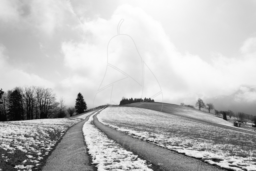 Mostviertel Schwarz Weiß | Ihre Fotografin im Lungau, ihre Fotografin im Mostviertel, Wandbilder Onlineshop, Imagefotos für Ihr Unternehmen,  - Realisiert mit Pictrs.com