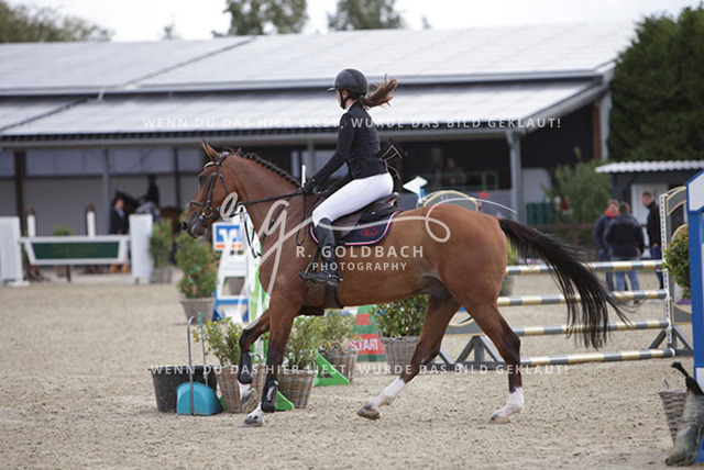 1J2A0824Kari Nansen_ Picante Helas_ Kn1051_ Havekost | Foto- und Videografie für alles rund ums Pferd. Hochwertige Bilder und Videos vom Spring- und Dressurreiten, Voltigieren & mehr. Jetzt aktuelle Veranstaltungen und Preise im Shop ansehen. - Realisiert mit Pictrs.com