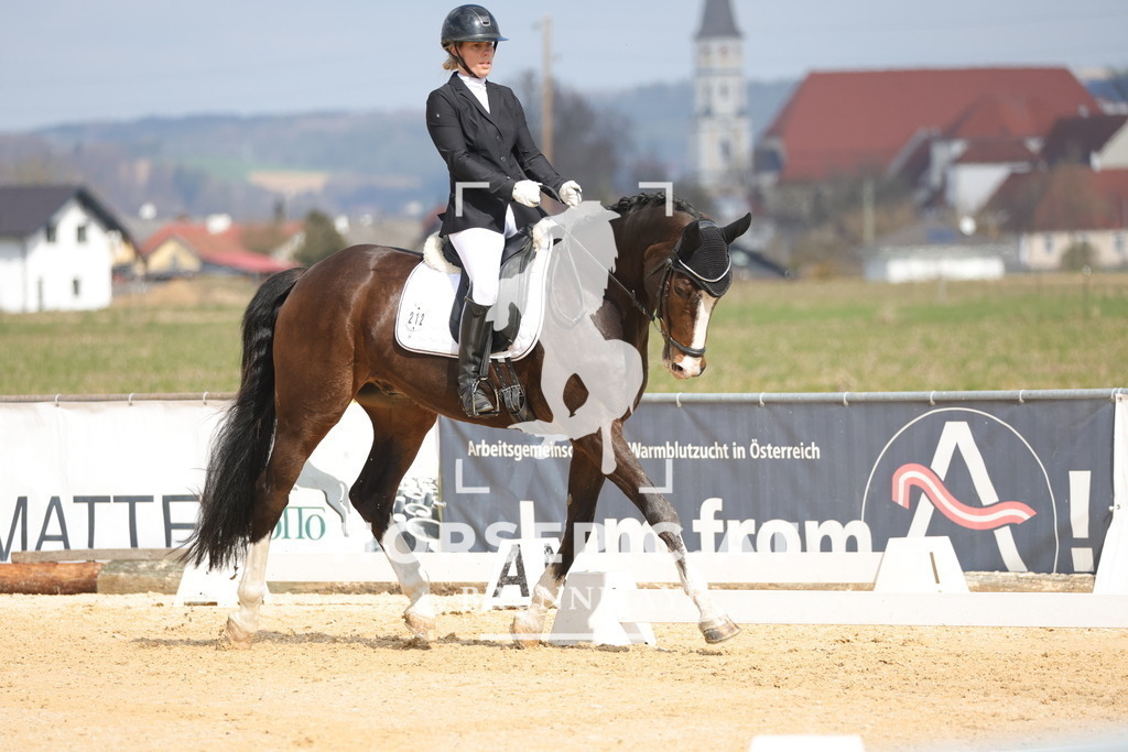 0P6A6825 | Willkommen bei Brunnmayr - Design & Fotografie – Ihrem Spezialisten für Reitturniere und Pferdeveranstaltungen in Oberösterreich, Salzburg und Bayern! Seit über 17 Jahren sind wir leidenschaftlich dabei.