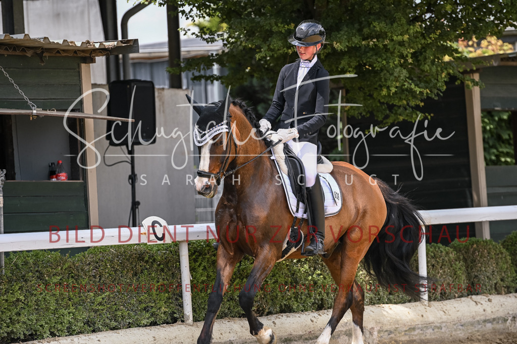 Schugtsche-Aluta25-55.Dressurreiterprf.L1Tr-128 | Schugtsche Fotografie - Realisiert mit Pictrs.com