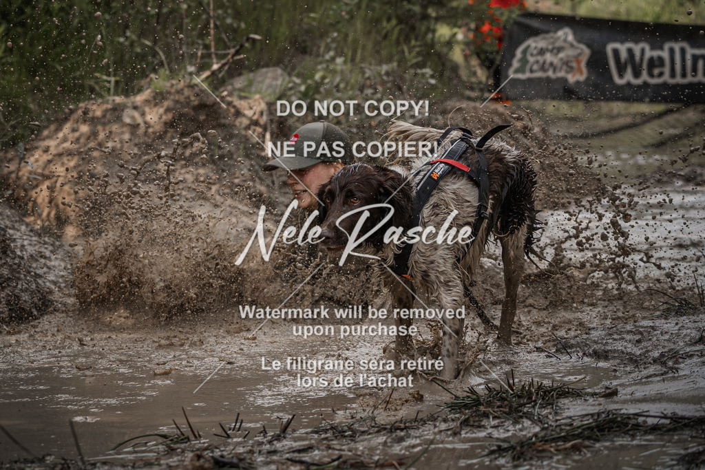 nelerasche_Hoope2026_So1530-1600_420 | nelerasche