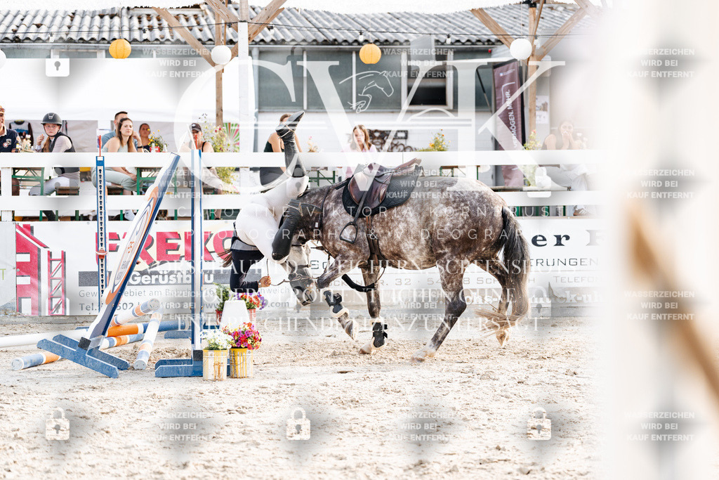 CK907048 | Turnierfotografie Pferdefotografie Trier Rheinland-Pfalz Pferdesport Reitsport Tierfotografie Sportfotografie Pferdevideo Pferdevideografie Equestrianvideography equestrianphotography  - Realisiert mit Pictrs.com