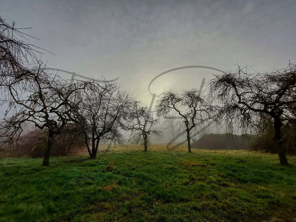 Bilder Homepage-18 | fotografie-derks - Realisiert mit Pictrs.com