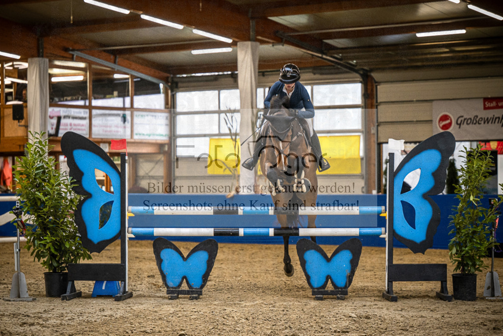 DOS_B1331 | Entdecke hochwertige Reitturnierfotos von Foto Oger. Professionell, emotional und authentisch – jetzt Lieblingsmomente im Shop bestellen.Deutschlandweite Turnierfotografie. - Realisiert mit Pictrs.com