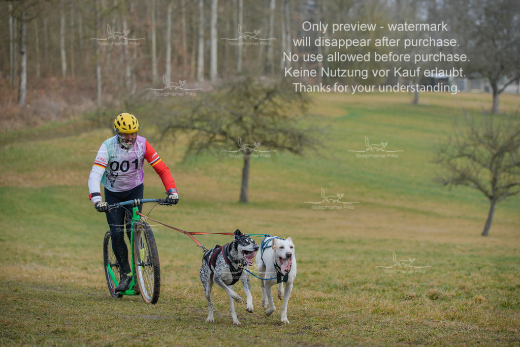 Sa_Scooter2-1 | stephaniefillaphotographie - Realisiert mit Pictrs.com