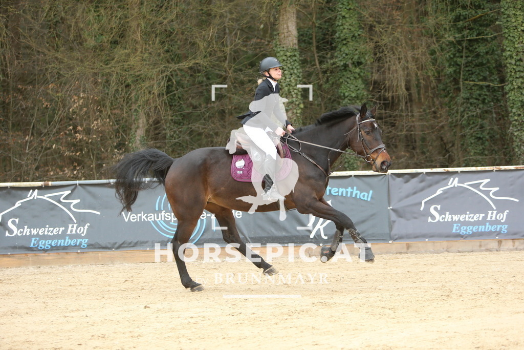 DL2Q6729 | Willkommen bei Brunnmayr - Design & Fotografie – Ihrem Spezialisten für Reitturniere und Pferdeveranstaltungen in Oberösterreich, Salzburg und Bayern! Seit über 17 Jahren sind wir leidenschaftlich dabei.