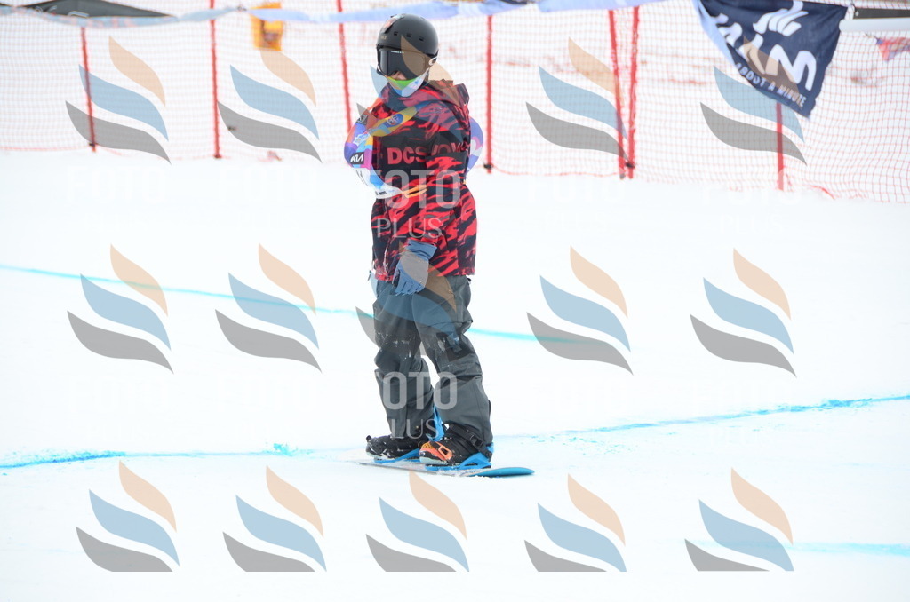 DSC_2482 | holidayphoto