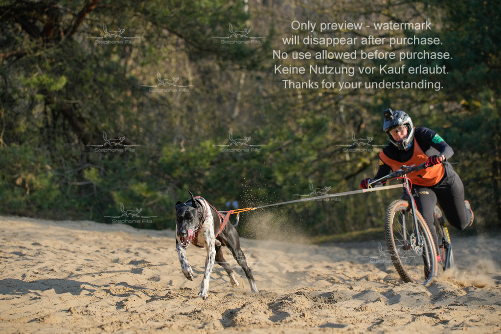 So_Scooter-5 | stephaniefillaphotographie - Realisiert mit Pictrs.com