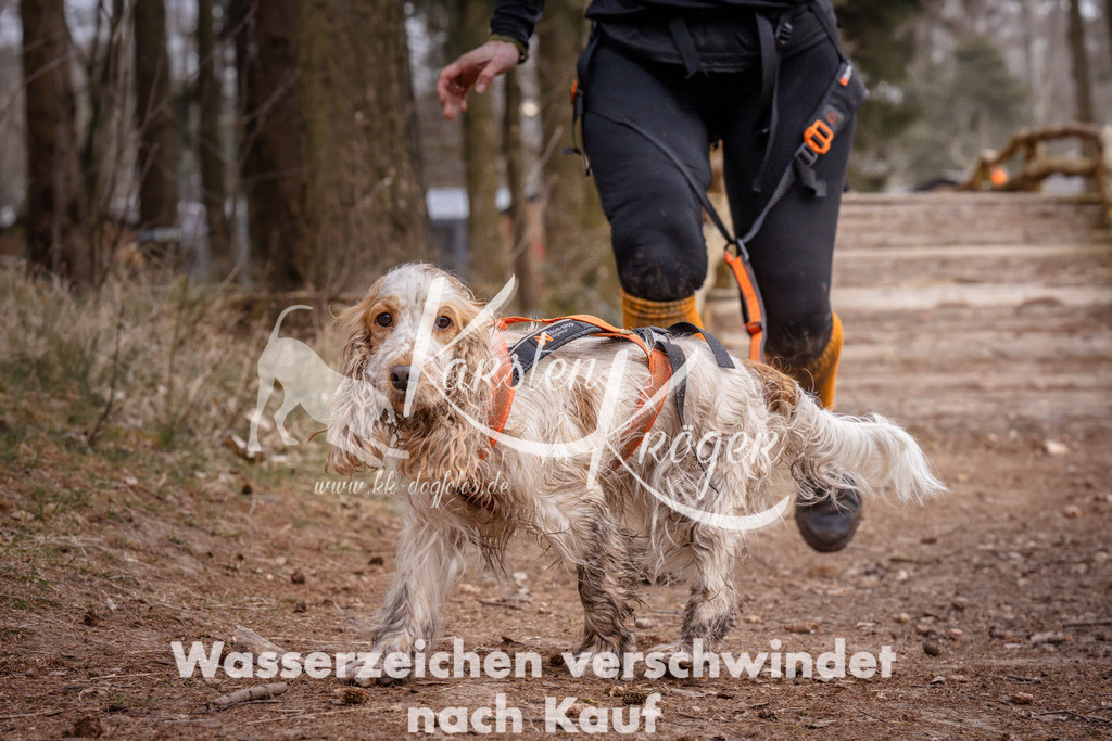 1623_ZZ94055 | kk-dogfotos