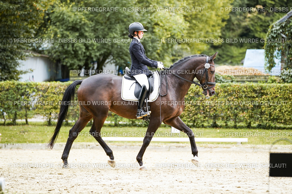 DSC00886 | Pferdegrafie