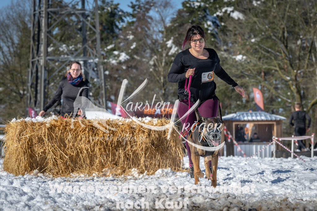 1117_ZZ91178-3 | kk-dogfotos