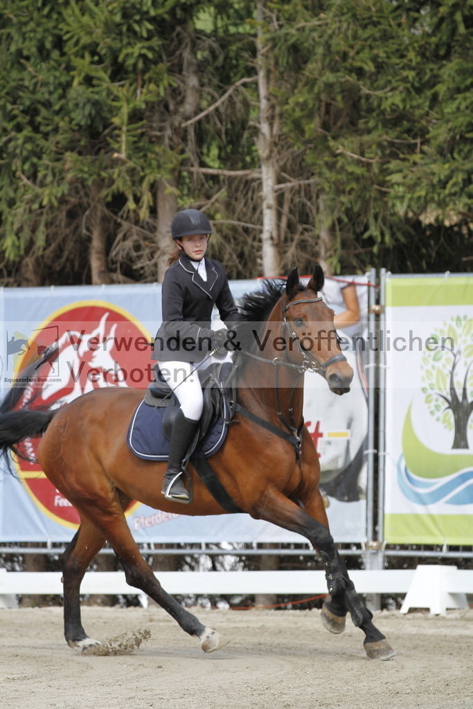 _MG_7740 | equestrian-live-com