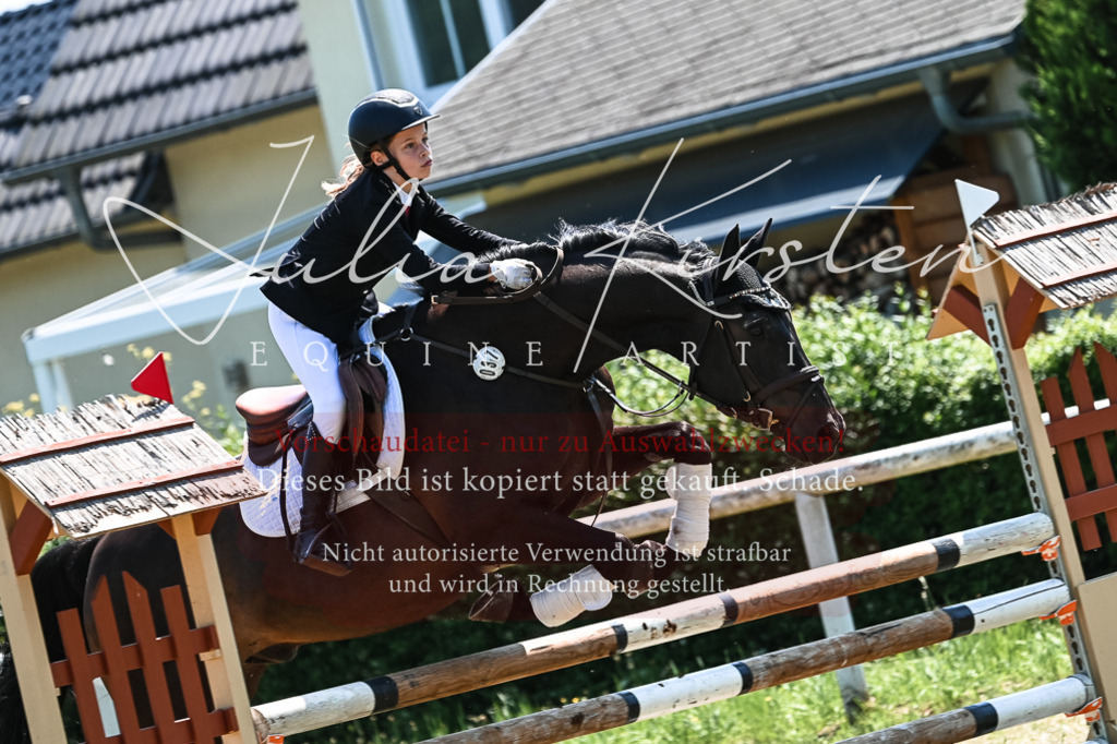 DSC_0363 | Pferde- und Turnierfotografie in Westsachsen. Pferdeportraits, Auftragszeichnungen und intuitive Kunst.