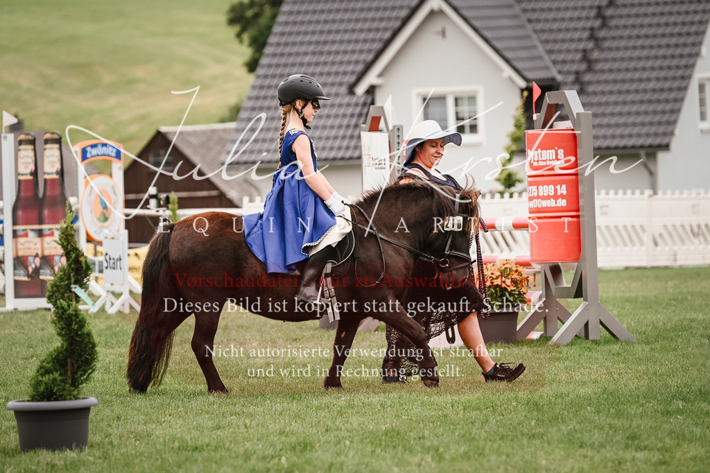 DSC_7364 | Pferde- und Turnierfotografie in Westsachsen. Pferdeportraits, Auftragszeichnungen und intuitive Kunst.