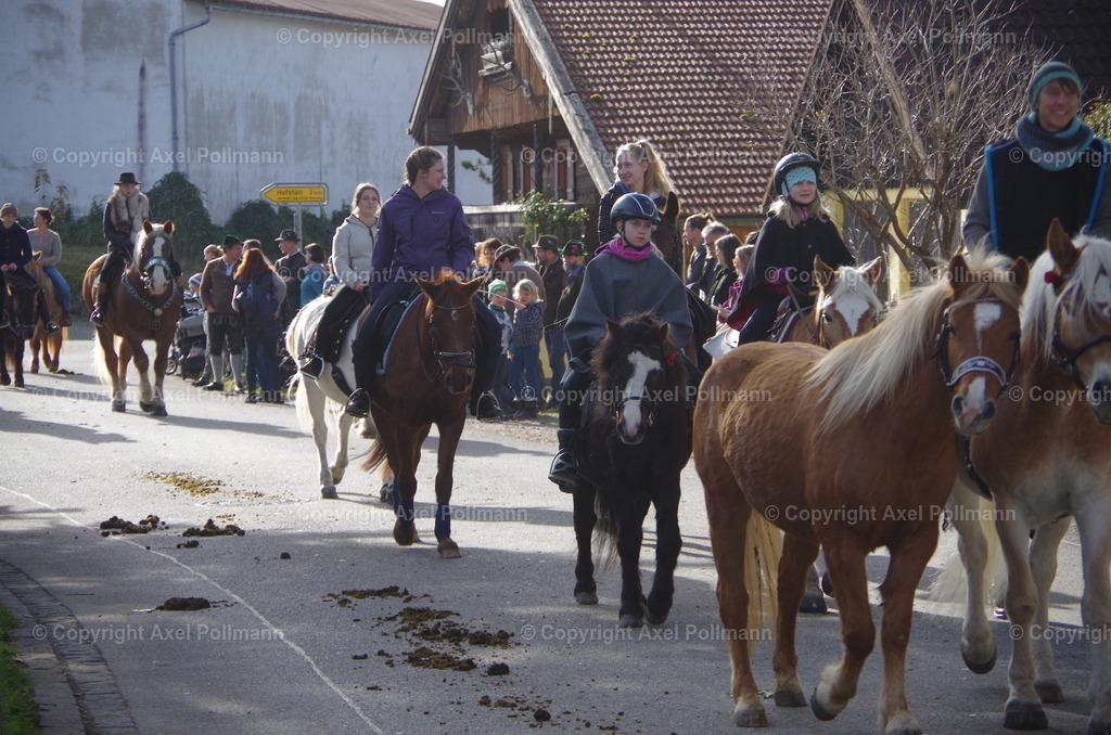 IMGP1356 | fotografiert von Axel PollmannLeonhardi Wallfahrt Benediktbeuern und Murnau, Fronleichnam, Fasching, Landschaft im Loisachtal und Benediktbeuern  - Realisiert mit Pictrs.com