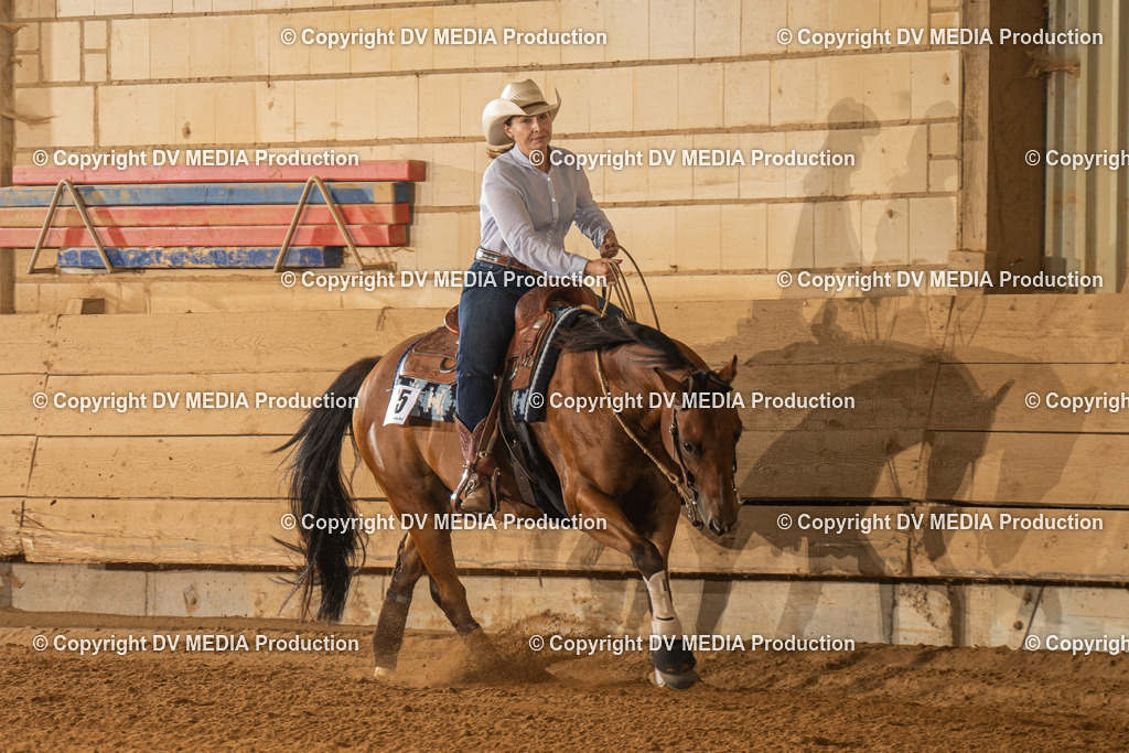 NID01932 | dv-media-shop - Realisiert mit Pictrs.com