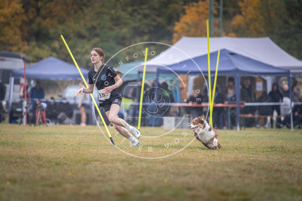 Pfotenfotografie_DV3A0150 | Hundefotografie, Tierfotograf, Pfotenfotografie, Fotoshooting Hund, Hunde Portrait, Hundesport, Hundeportraits, Heideshooting, Hunde, Sportfotograf, Hundefotograf, Turnierhundsport, THS,  - Realisiert mit Pictrs.com