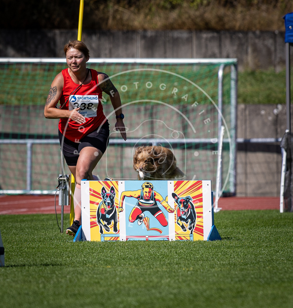 Pfotenfotografie_DV3A9938 | Hundefotografie, Tierfotograf, Pfotenfotografie, Fotoshooting Hund, Hunde Portrait, Hundesport, Hundeportraits, Heideshooting, Hunde, Sportfotograf, Hundefotograf, Turnierhundsport, THS,  - Realisiert mit Pictrs.com