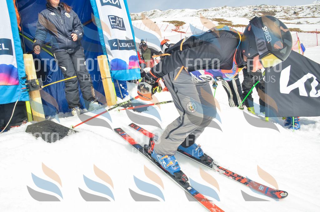 _ELE7233 | holidayphoto