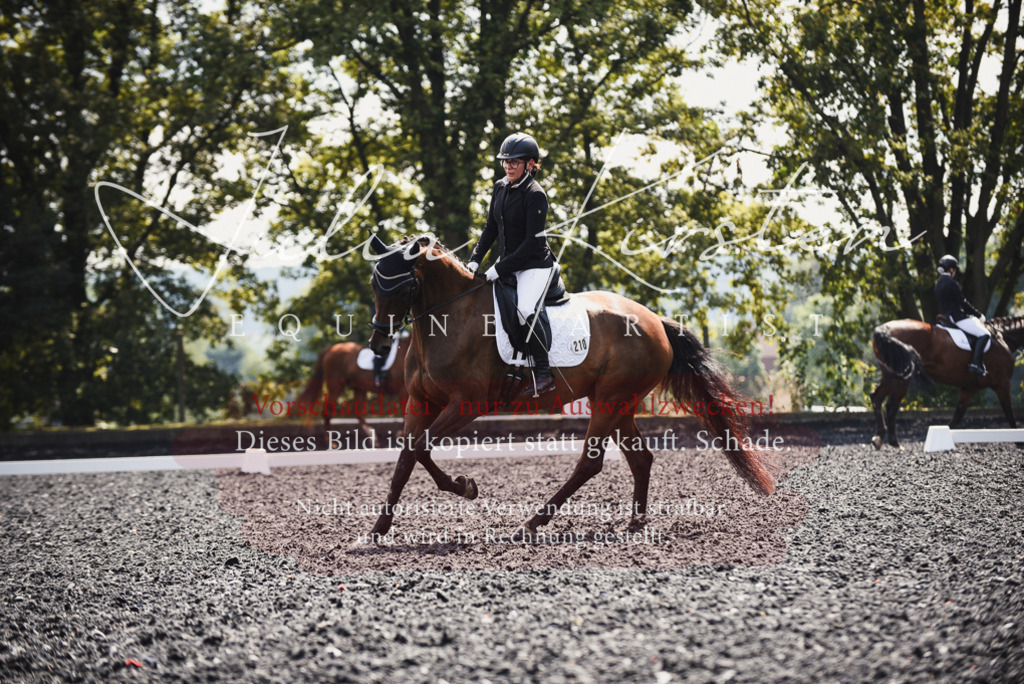 DSC_4100 | Pferde- und Turnierfotografie in Westsachsen. Pferdeportraits, Auftragszeichnungen und intuitive Kunst.