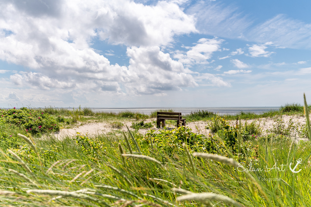 20240616-EAF_2212 | Eilun-Art-Fotografie Levke Martens, ihre Fotografin für Immobilien- und Landschaftsfotografie auf Föhr, Föhrer Motive als Poster, Leinwand, hinter Acrylglas oder stelle dir deinen eigenen Monatskalender zusammen, mit nur einem Klick