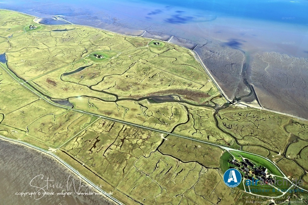 Wattenmeer, Fahrrinne und Priele - Hallig Langeneß | Ein weiterer interessanter Ort ist die Peterswarft, wo naturkundliche Besonderheiten der Hallig vorgestellt werden, darunter Pflanzen der Salzwiese und die Vogelwelt von Langeneß.