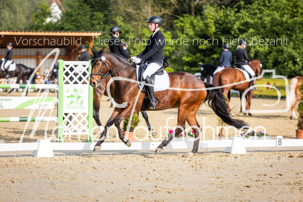 Donop24-A-Dre-042 | MomenTaufnahmen Pferdesportfotos