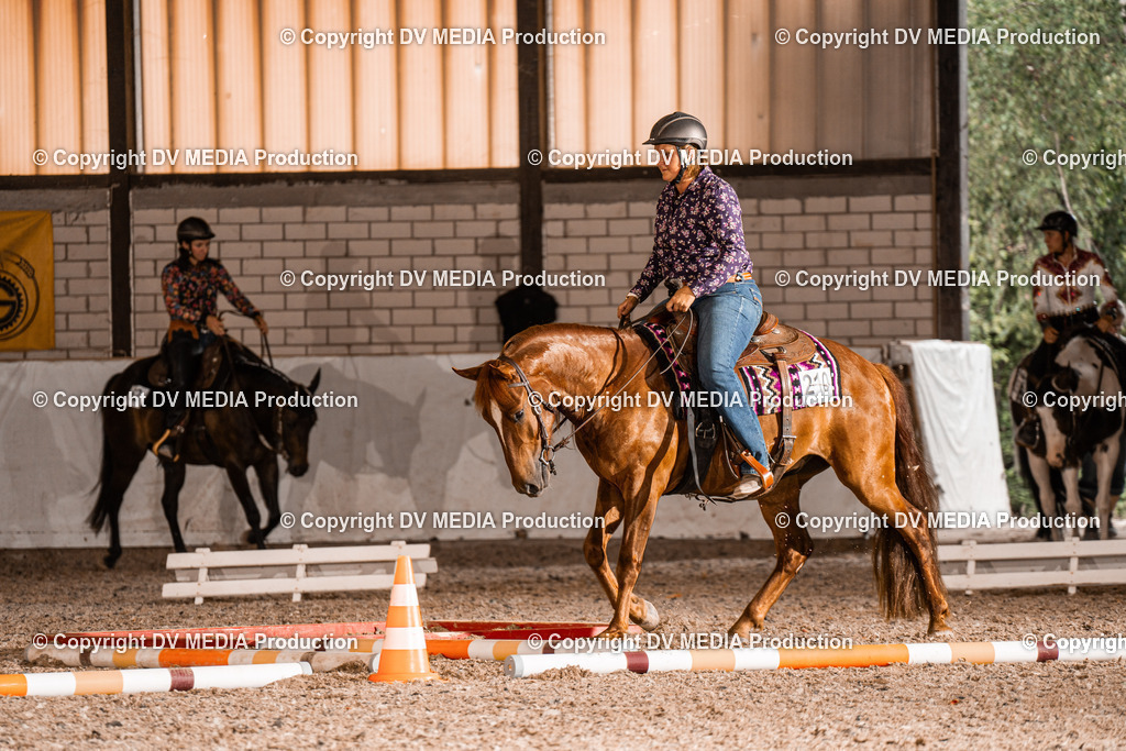 ZH200620 | dv-media-shop - Realisiert mit Pictrs.com