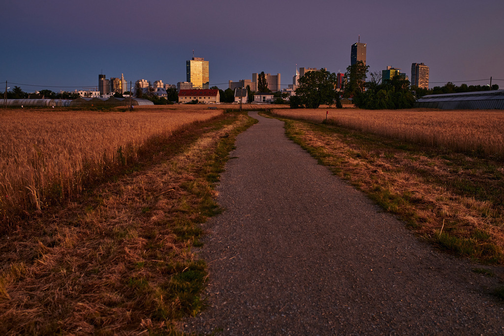 Blick auf die Donausiedllung im Abendlicht | Wien, Austria - June 29, 2020: Blick auf die Donausiedllung mit Getreidefelder im Abendlicht. - Realisiert mit Pictrs.com