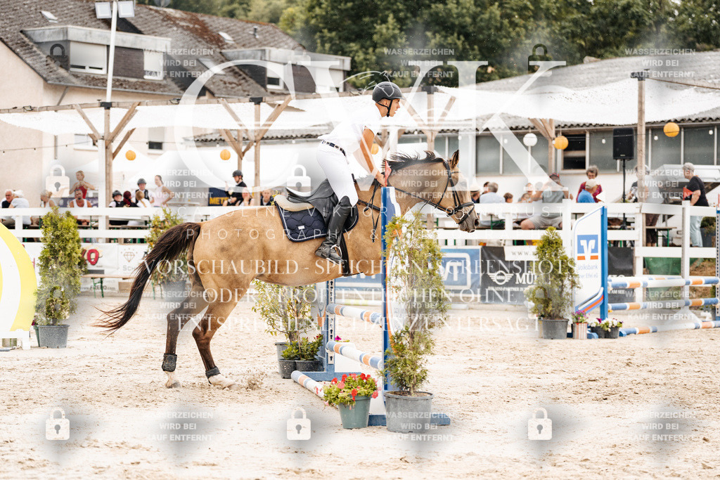 CK908740 | Turnierfotografie Pferdefotografie Trier Rheinland-Pfalz Pferdesport Reitsport Tierfotografie Sportfotografie Pferdevideo Pferdevideografie Equestrianvideography equestrianphotography  - Realisiert mit Pictrs.com