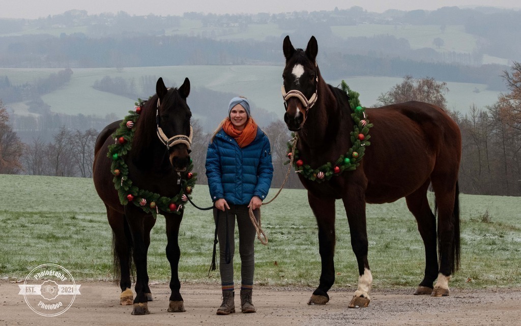 Lieblingsbilder_Photoboo_26 | Pferde- und Hundefotografie in Köln und Umgebung von Vanessza Csuka - Realisiert mit Pictrs.com