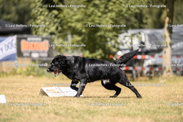 _DSC6387 | levihelfersfotografie