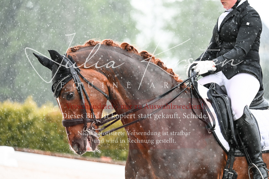 DSC_4106 | Pferde- und Turnierfotografie in Westsachsen. Pferdeportraits, Auftragszeichnungen und intuitive Kunst.