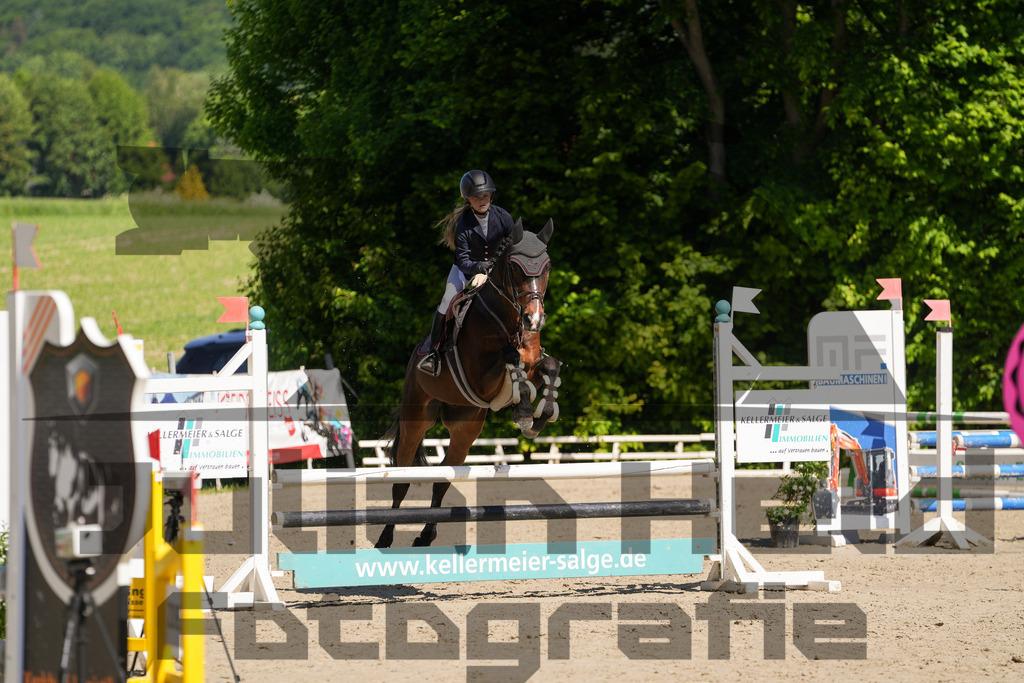 DSC02168 | Julian Held Fotografie - Realisiert mit Pictrs.com