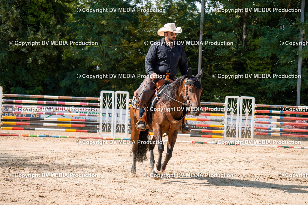 ZH100325 | dv-media-shop - Realisiert mit Pictrs.com