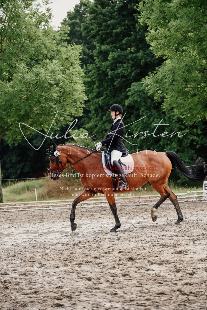 DSC_9752 | Pferde- und Turnierfotografie in Westsachsen. Pferdeportraits, Auftragszeichnungen und intuitive Kunst.