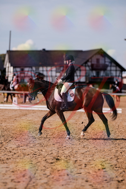 2026_10_03_Siefer-Hof_125827_Z81_48576998 | Professionelle Reitsport-, Turnier- und Eventfotografie von Robert Broda. Galerien mit ausgewählten und bearbeiteten Bildern direkt online ansehen und bestellen.