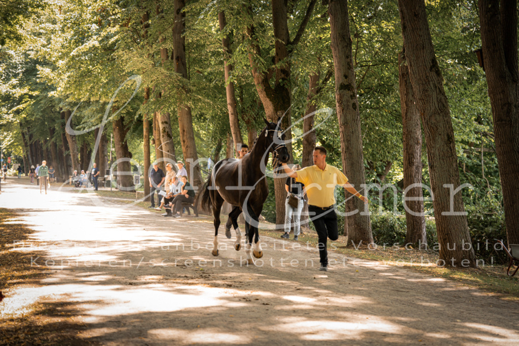 FrPfM00229 | Leoni Ertmer Photography - Realisiert mit Pictrs.com