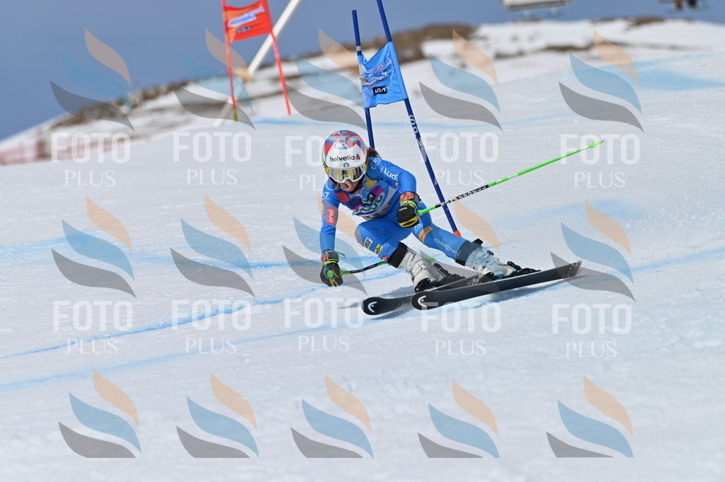 BGV_7121 | holidayphoto