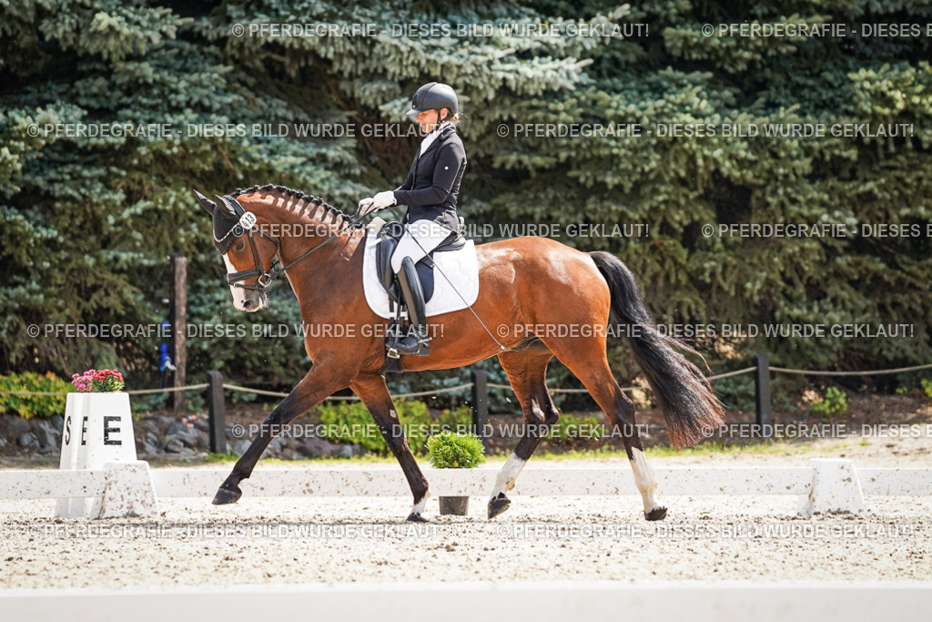 DSC08974 | Pferdegrafie